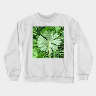 Teeny Greens on Greens Crewneck Sweatshirt